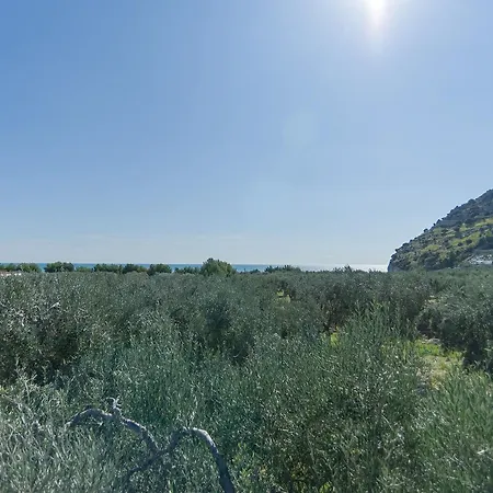 فيلة Monte Saraceno